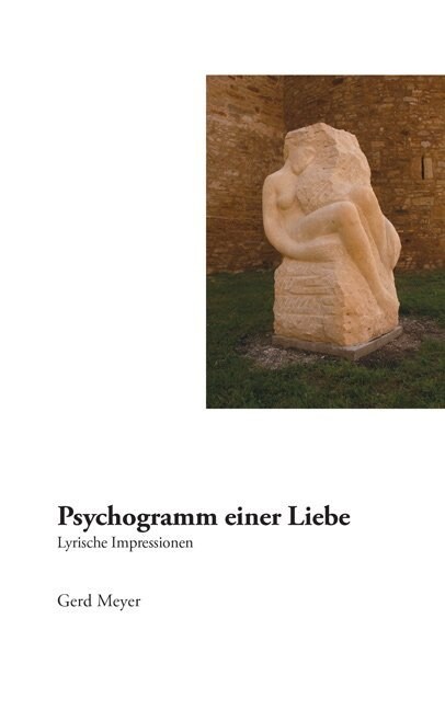 Psychogramm einer Liebe (Paperback)