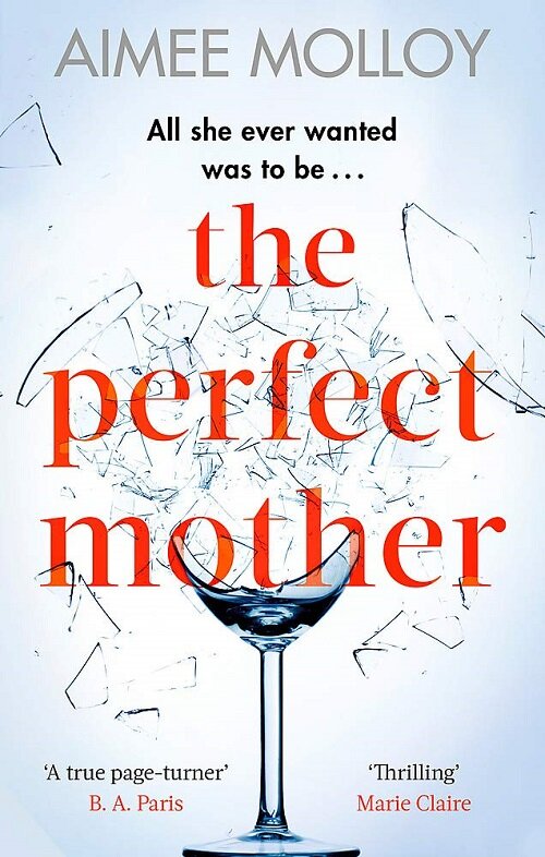 The Perfect Mother : A gripping thriller with a nail-biting twist (Paperback)