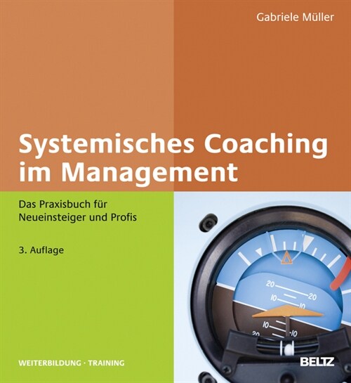 Systemisches Coaching im Management (Hardcover)