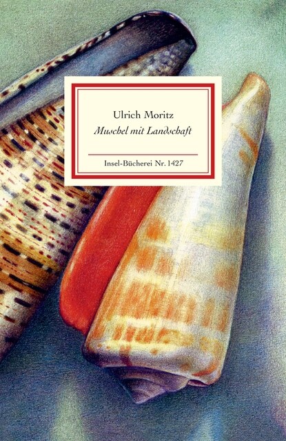 Muschel mit Landschaft (Hardcover)