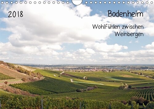 Bodenheim - Wohlfuhlen zwischen Weinbergen (Wandkalender 2018 DIN A4 quer) (Calendar)