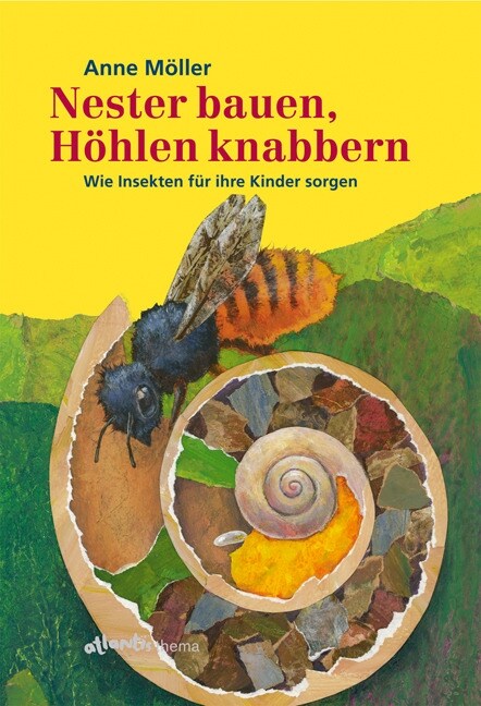 Nester bauen, Hohlen knabbern (Hardcover)