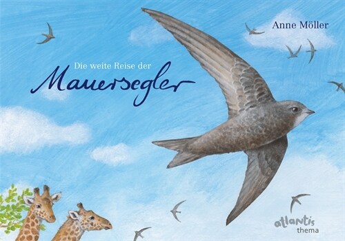 Die weite Reise der Mauersegler (Hardcover)