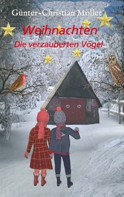 Weihnachten: Die verzauberten V?el (Paperback)