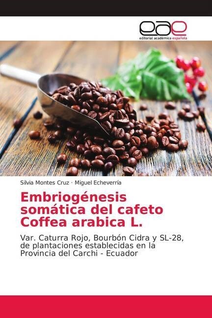 Embriogenesis somatica del cafeto Coffea arabica L. (Paperback)