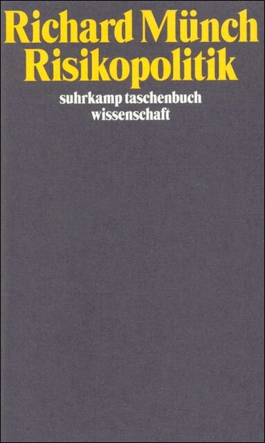 Risikopolitik (Paperback)