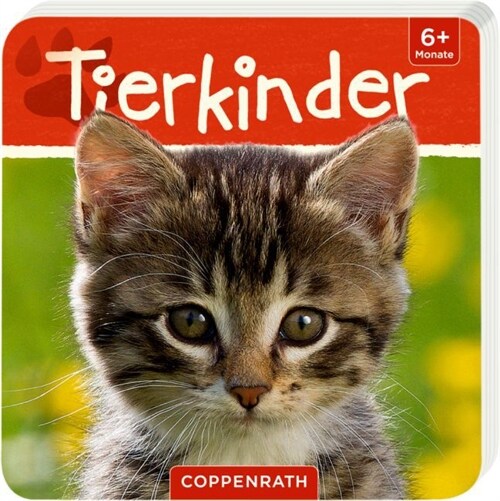 Mein erstes Tierbuch: Tierkinder (Board Book)