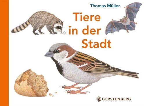 Tiere in der Stadt (Board Book)