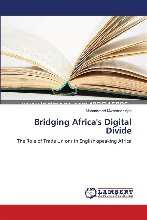 Bridging Africas Digital Divide (Paperback)