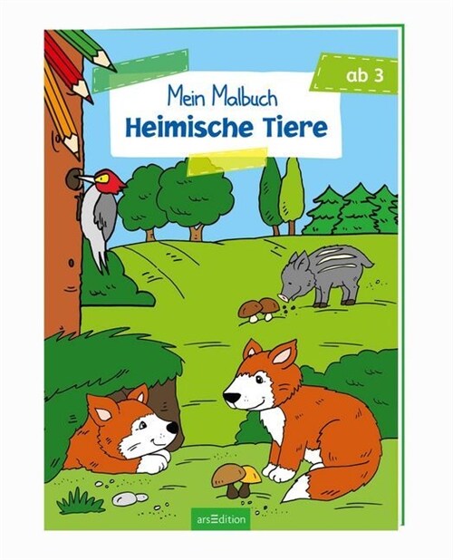 Mein Malbuch - Heimische Tiere (Paperback)