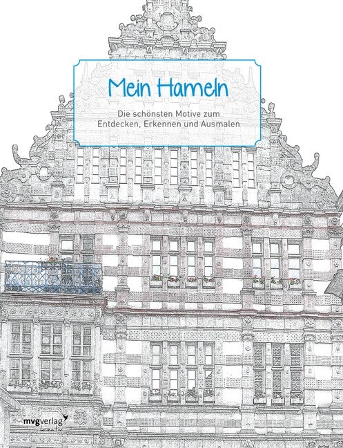Mein Hameln (Paperback)