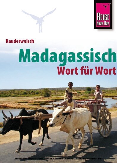 Madagassisch Wort fur Wort (Paperback)