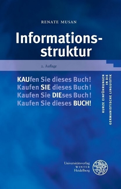 Informationsstruktur (Paperback)