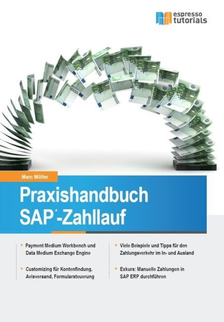 Praxishandbuch SAP-Zahllauf (Paperback)