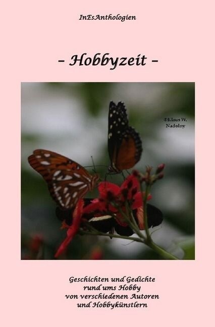 Hobbyzeit (Paperback)