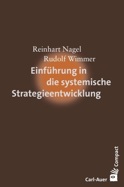 Einfuhrung in die systemische Strategieentwicklung (Paperback)