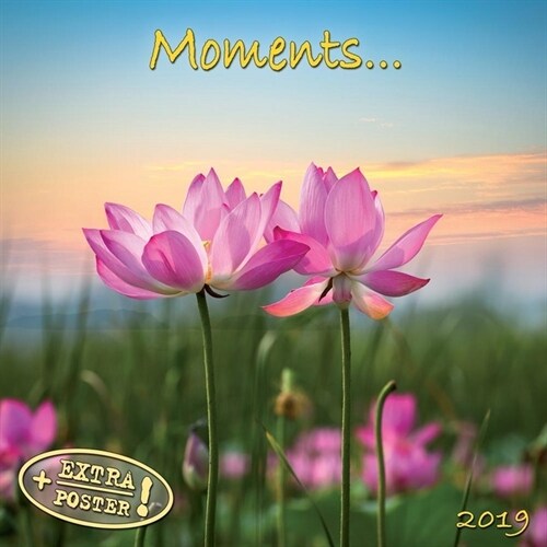 Moments 2019 (Calendar)