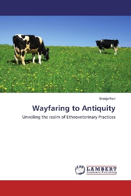 Wayfaring to Antiquity (Paperback)
