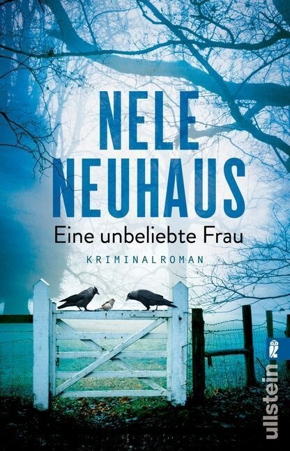 Eine unbeliebte Frau (Paperback)