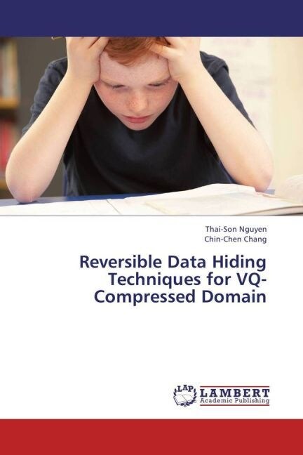 Reversible Data Hiding Techniques for VQ-Compressed Domain (Paperback)