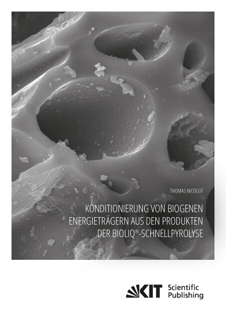 Konditionierung von biogenen Energietragern aus den Produkten der bioliq®-Schnellpyrolyse (Paperback)