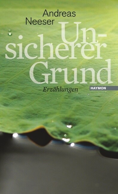 Unsicherer Grund (Paperback)