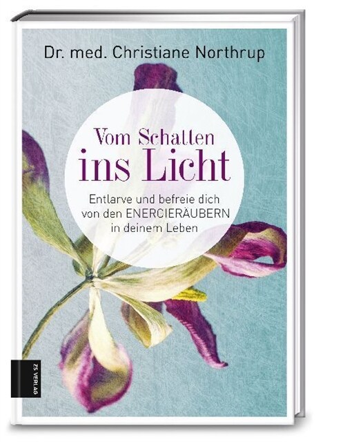 Vom Schatten ins Licht (Hardcover)