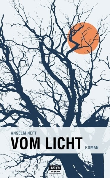 Vom Licht (Hardcover)