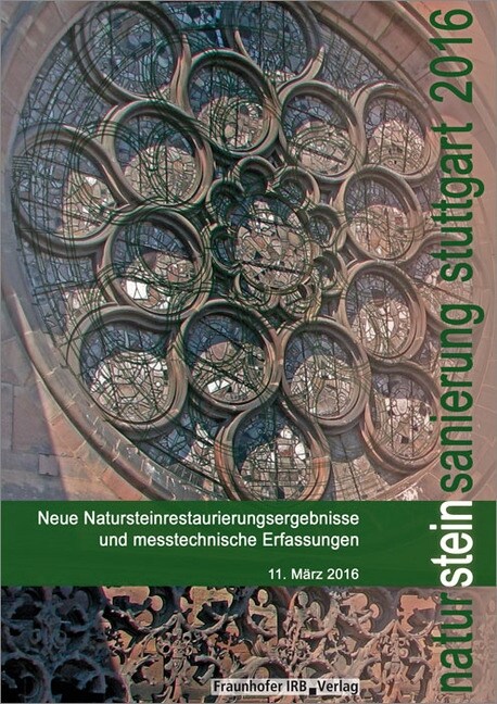 Natursteinsanierung Stuttgart 2016. (Paperback)