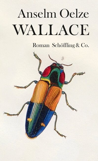 Wallace (Hardcover)