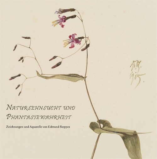 Natursehnsucht und Phantasiewahrheit (Paperback)