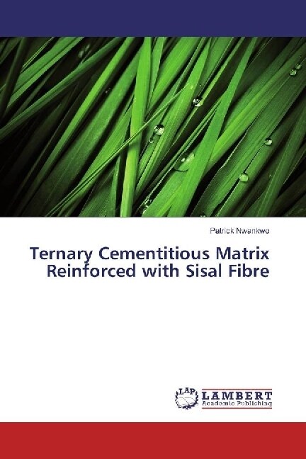 Ternary Cementitious Matrix Reinforced with Sisal Fibre (Paperback)