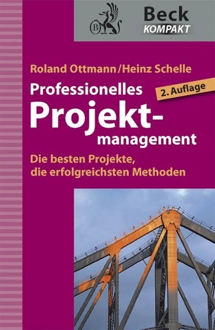 Professionelles Projektmanagement (Paperback)