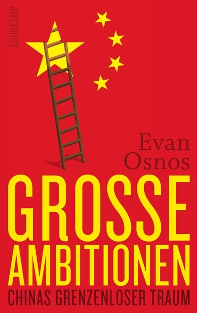 Große Ambitionen (Hardcover)