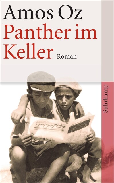 Panther im Keller (Paperback)