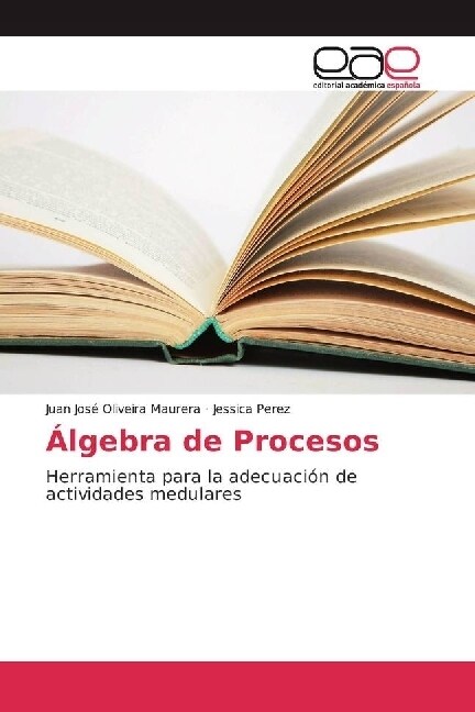 Algebra de Procesos (Paperback)