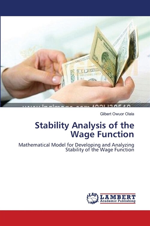 Stability Analysis of the Wage Function (Paperback)