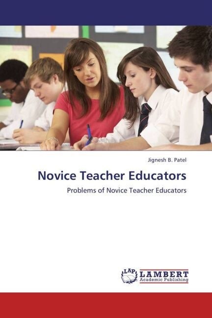 Novice Teacher Educators (Paperback)