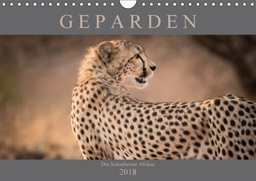 Geparden - Die Schonheiten Afrikas (Wandkalender 2018 DIN A4 quer) (Calendar)