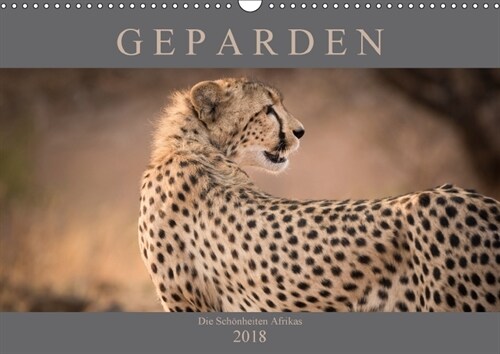 Geparden - Die Schonheiten Afrikas (Wandkalender 2018 DIN A3 quer) (Calendar)