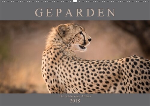 Geparden - Die Schonheiten Afrikas (Wandkalender 2018 DIN A2 quer) (Calendar)