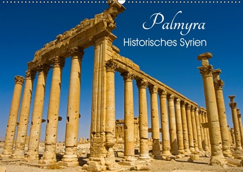 Palmyra - Historisches Syrien (Wandkalender 2019 DIN A2 quer) (Calendar)