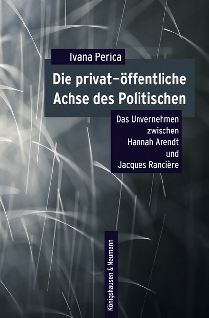 Die privat-offentliche Achse des Politischen (Paperback)