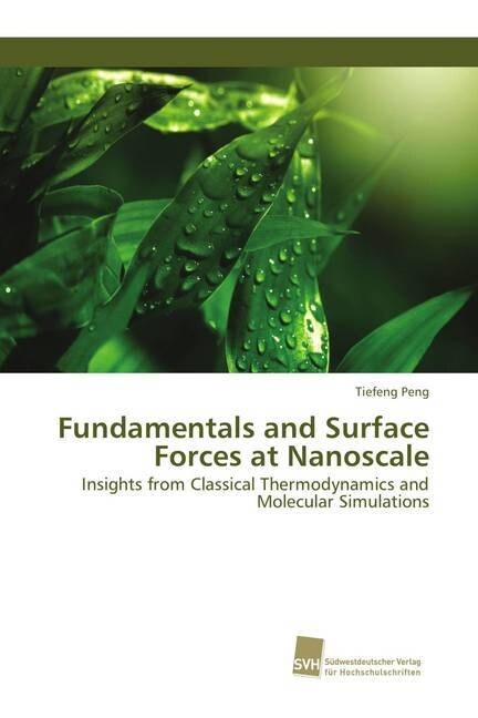 Fundamentals and Surface Forces at Nanoscale (Paperback)