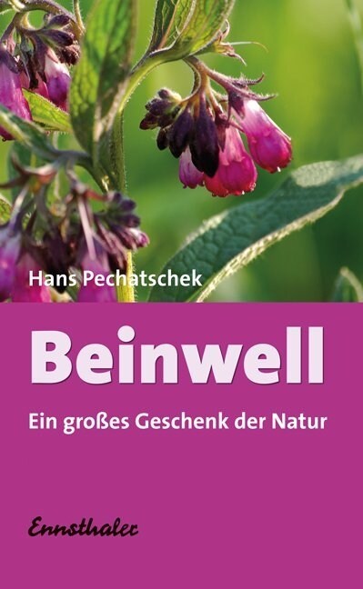 Beinwell (Paperback)