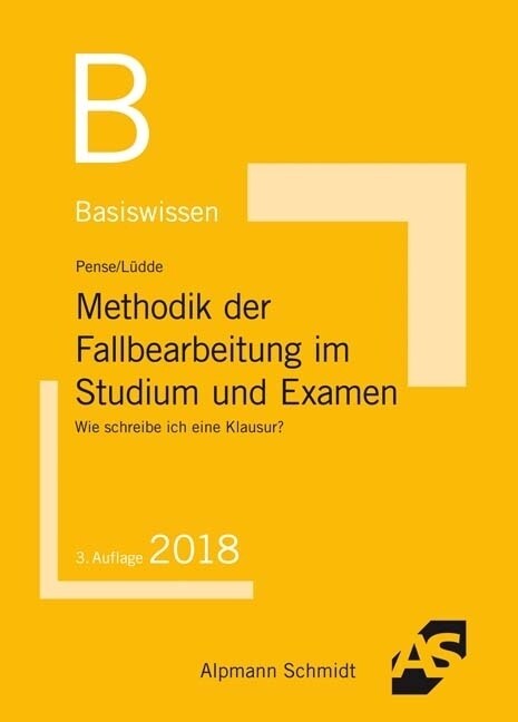 Basiswissen Methodik der Fallbearbeitung (Paperback)