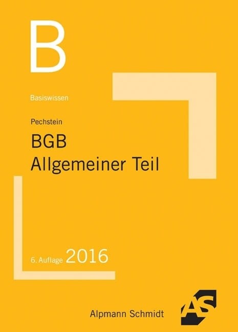 Basiswissen BGB Allgemeiner Teil (Paperback)