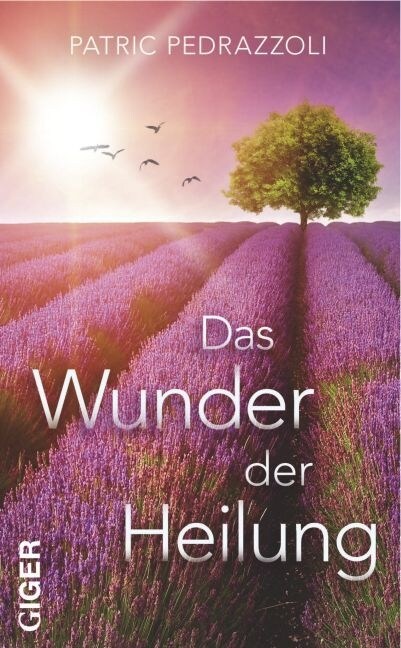 Das Wunder der Heilung (Hardcover)