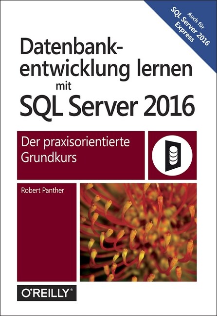 Datenbankentwicklung lernen mit SQL Server 2016 (Paperback)