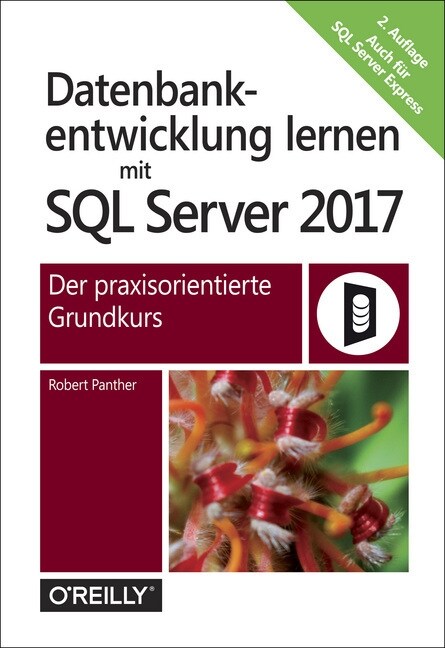 Datenbankentwicklung lernen mit SQL Server 2017 (Paperback)